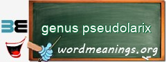 WordMeaning blackboard for genus pseudolarix